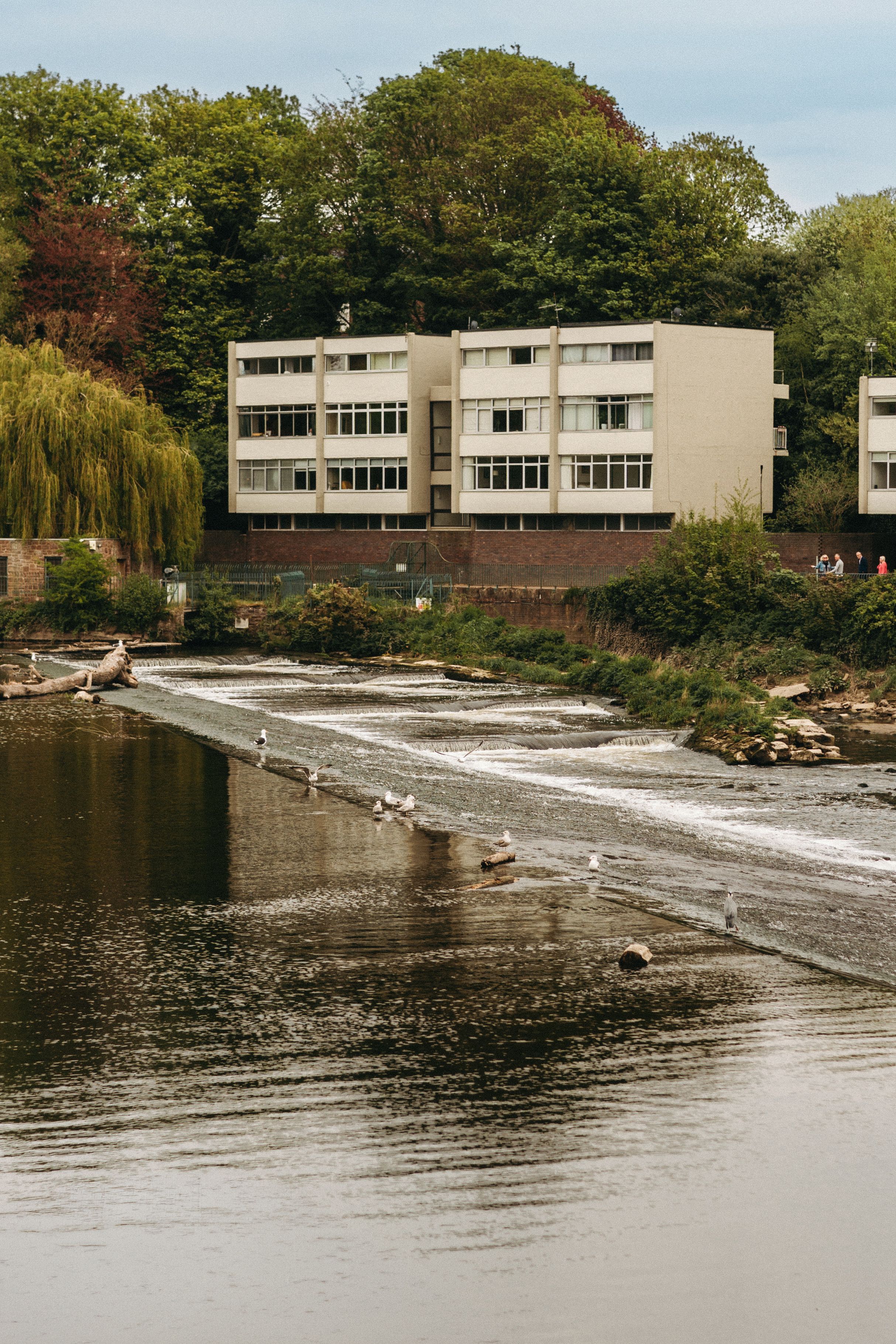 A picturesque river scene with modern apartments and lush greenery in Chester, UK.