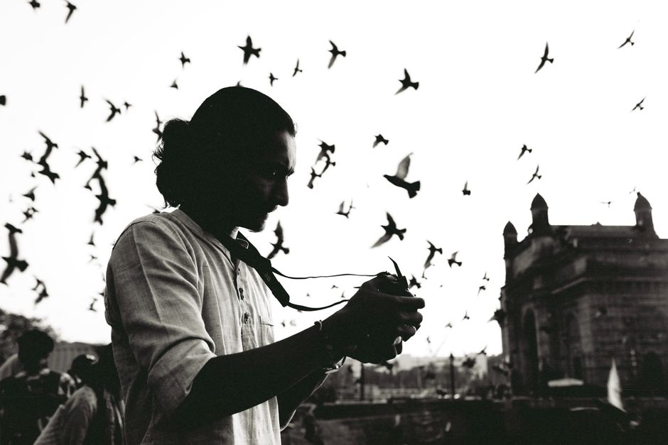 AI-Powered Bird Sanctuary Project