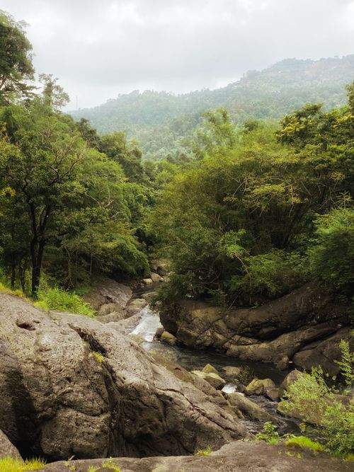 Free A tranquil mountain stream meanders through a verdant forest landscape, with lush greenery and rocky formations. Stock Photo