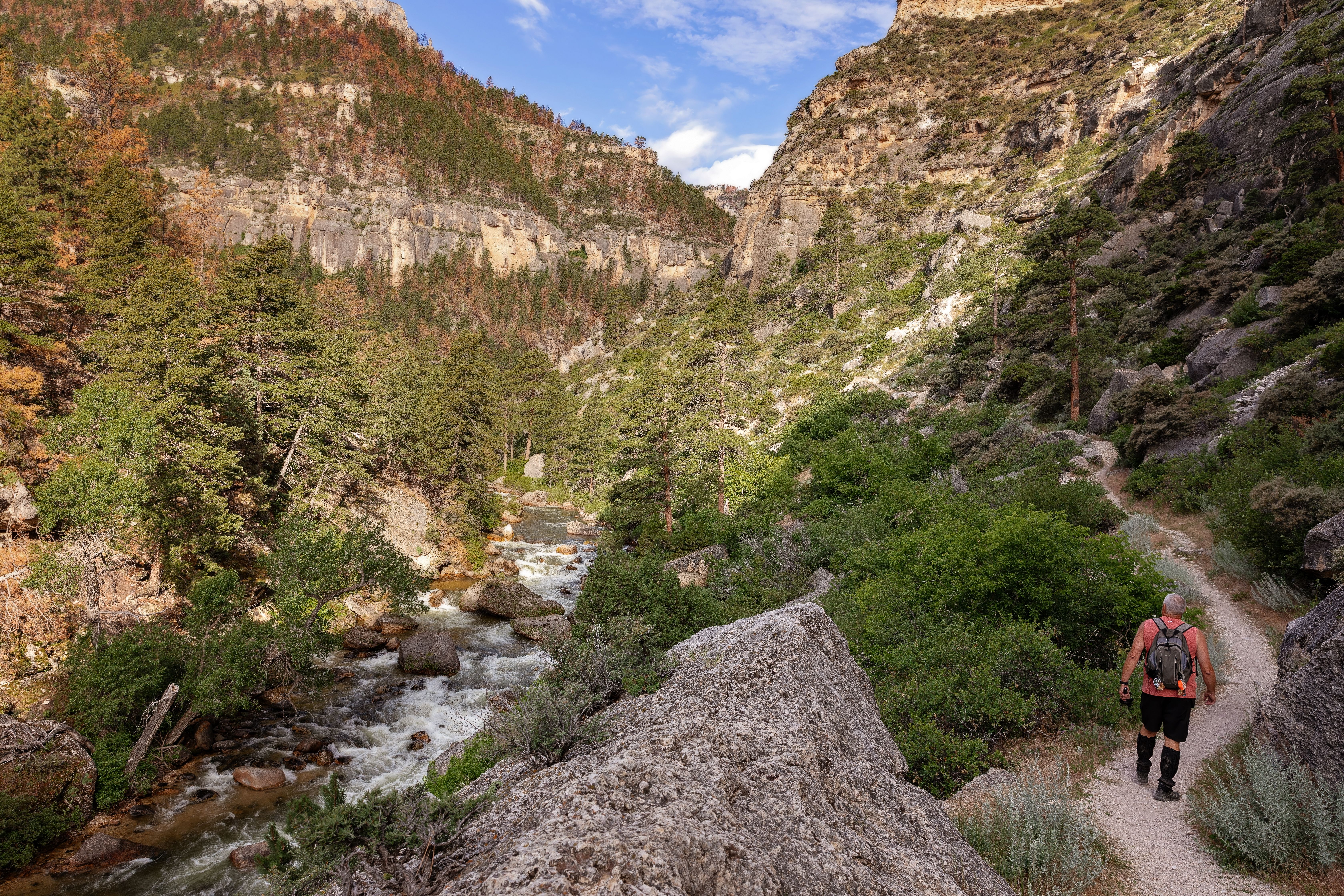 A hiker explores a picturesque trail along a river in the Bighorn Mountains, Sheridan, Wyoming.