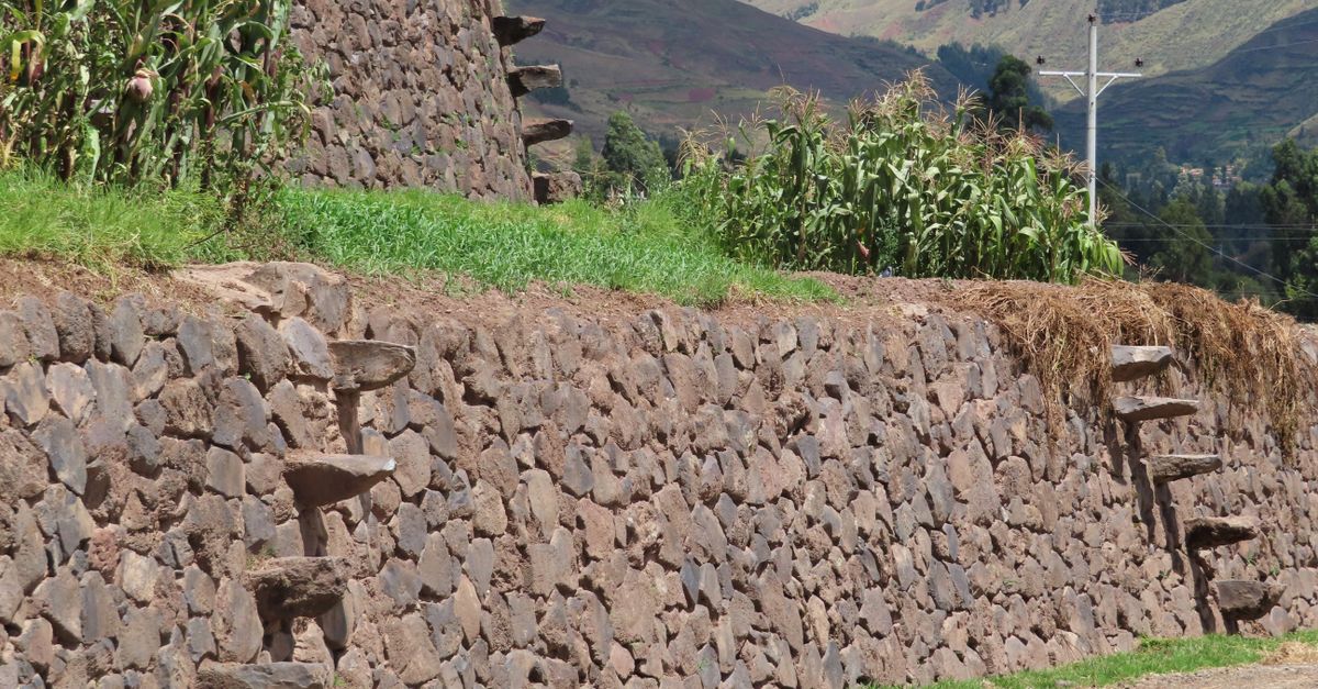Photo of Peru