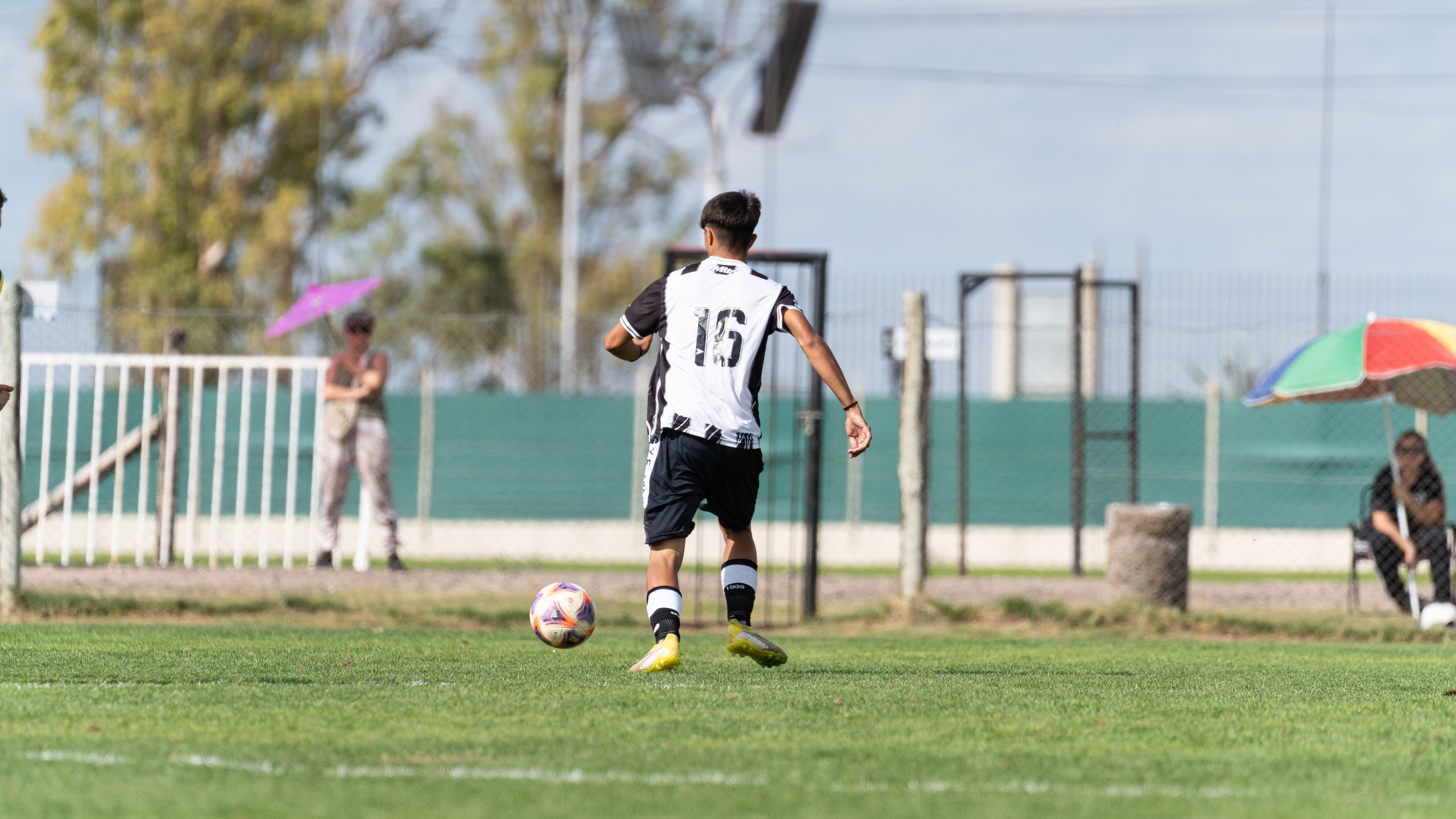 Sports quiz of the week: Lions, the Open, the Tour and the first £1m player — Photo by Franco Monsalvo on Pexels