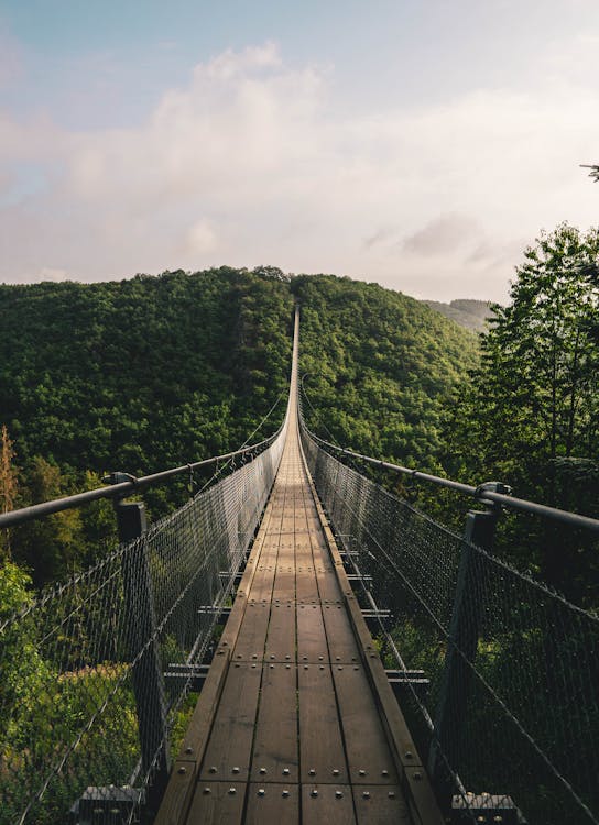 Free Brown Wooden Bridge over Green Trees Stock Photo