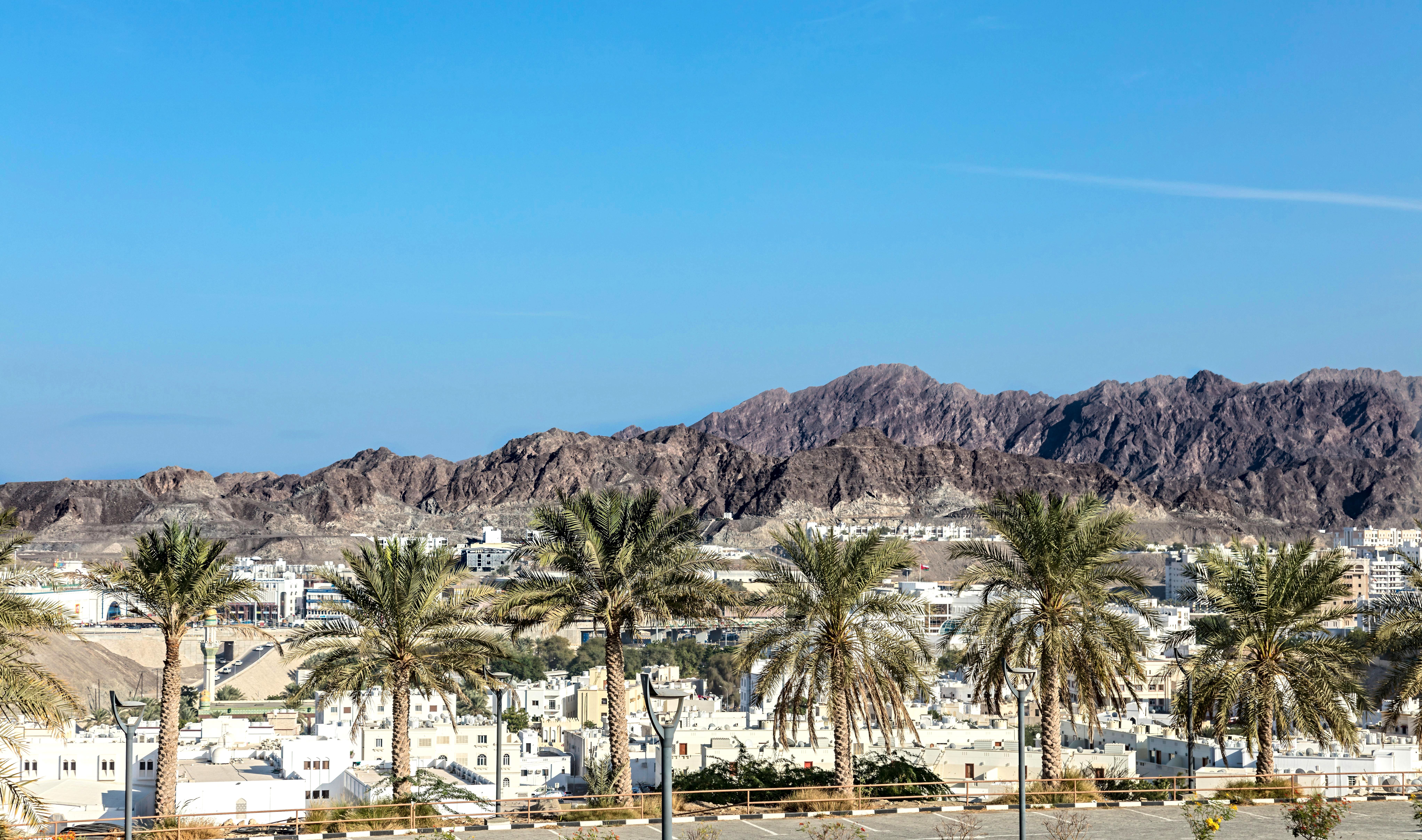 Desert mountains and palm trees under a vibrant blue sky.