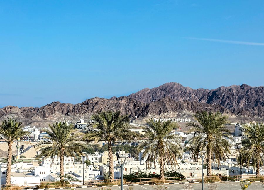 Desert mountains and palm trees under a vibrant blue sky.