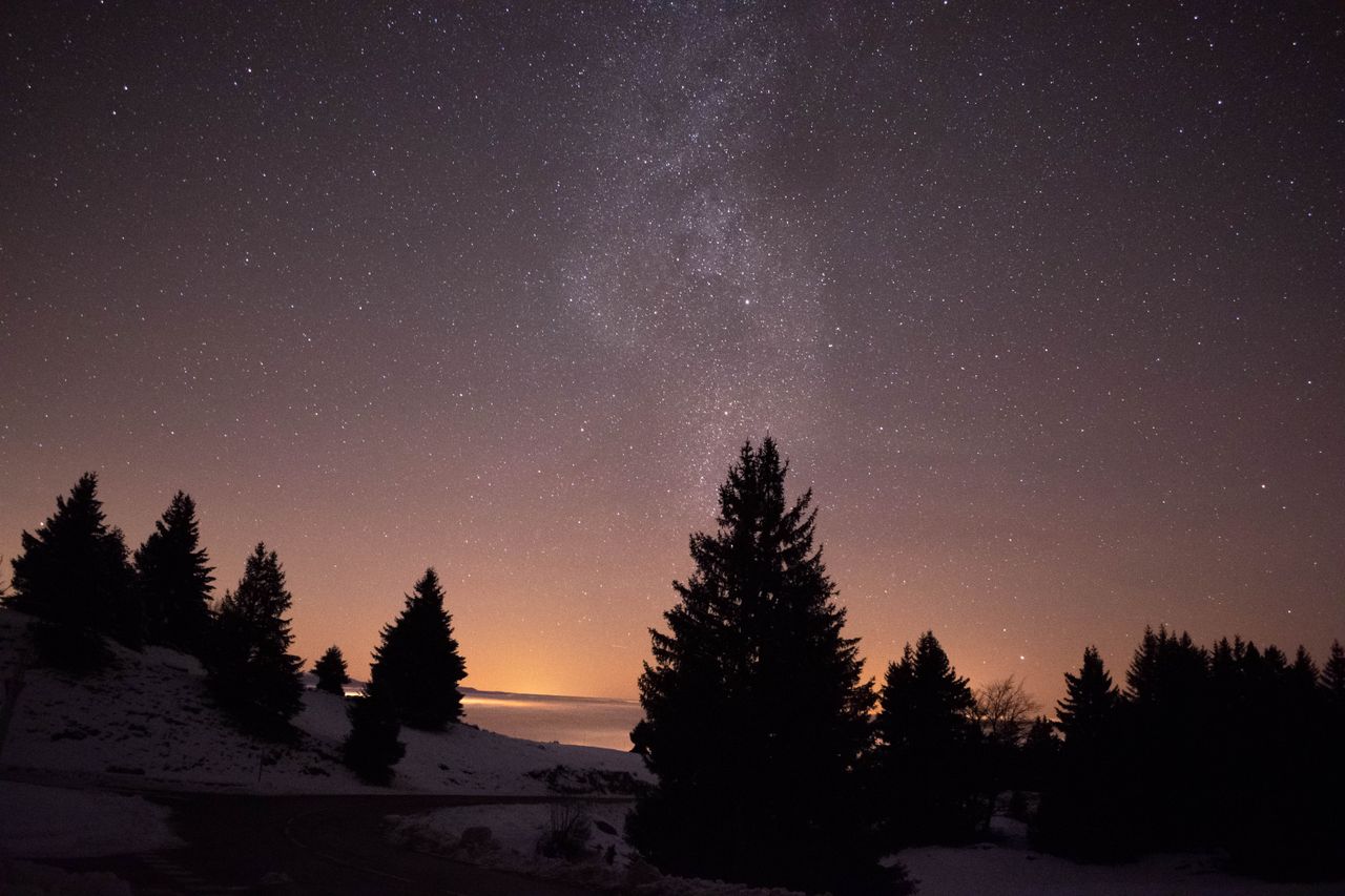 a serene starry night sky over snowy trees in viuz la chi saz capturin