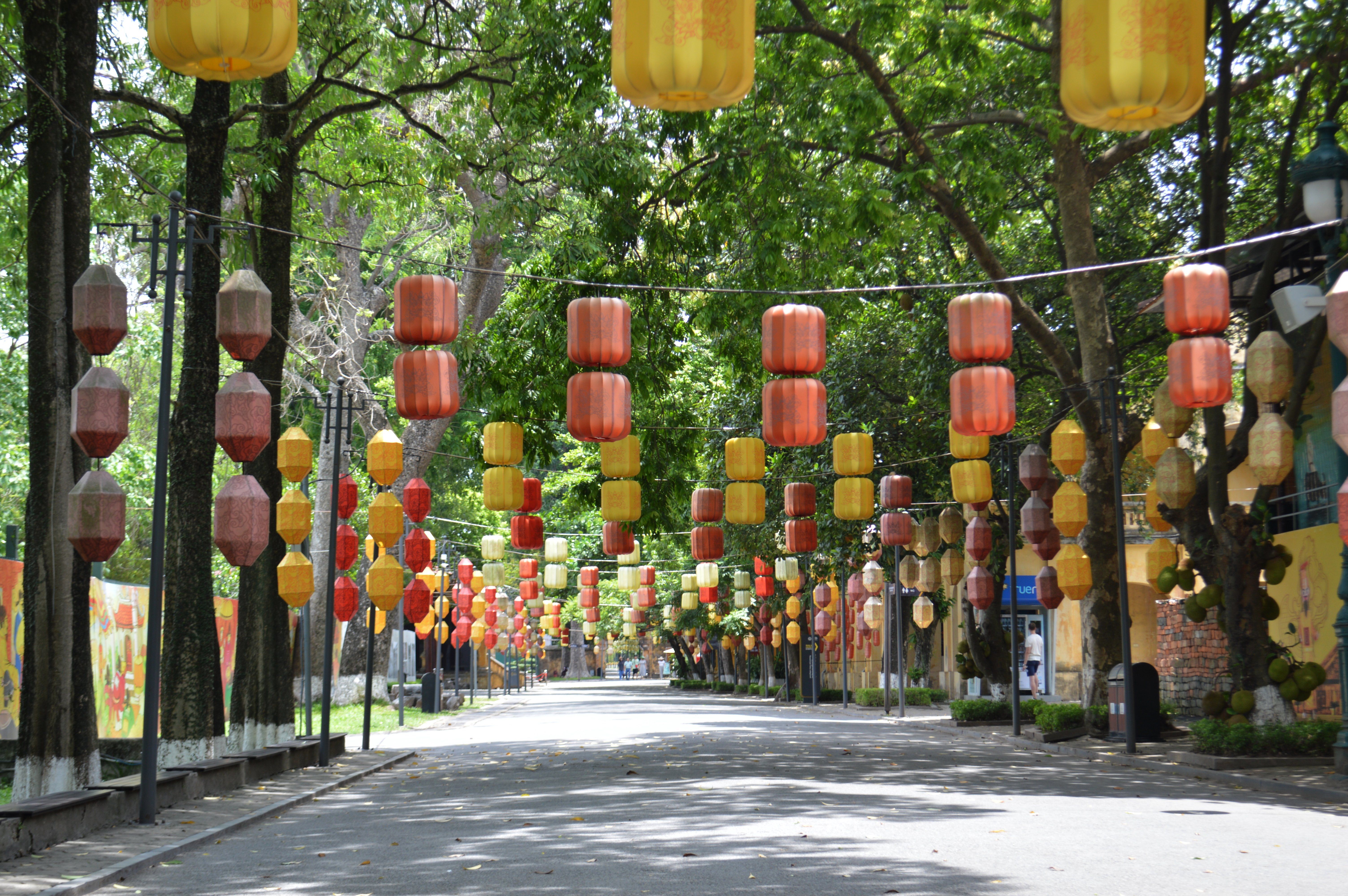 Vibrant lanterns in red, yellow, and orange adorn a scenic, tree-lined street, creating a festive atmosphere.
