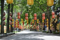 Vibrant lanterns in red, yellow, and orange adorn a scenic, tree-lined street, creating a festive atmosphere.