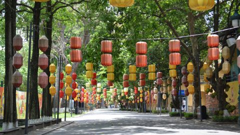 Vibrant lanterns in red, yellow, and orange adorn a scenic, tree-lined street, creating a festive atmosphere.