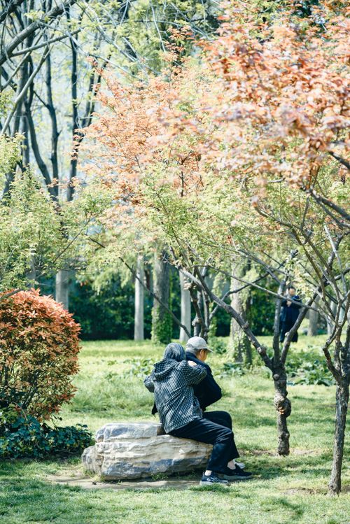 Free A couple enjoys a peaceful moment in a park beneath vibrant spring trees. Stock Photo
