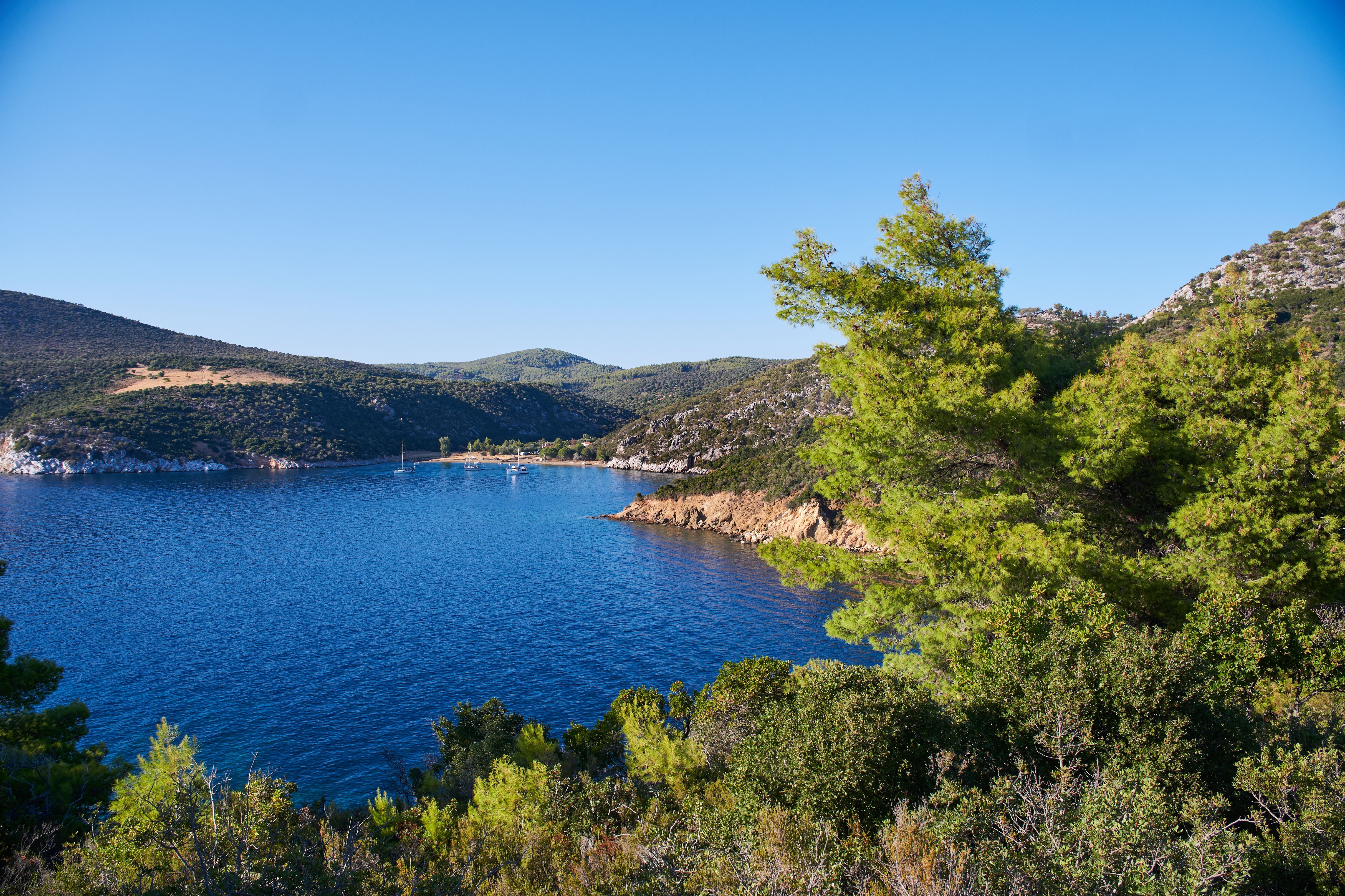 Salonikiou Beach, Sithonia · φωτογραφία περιοχής 3