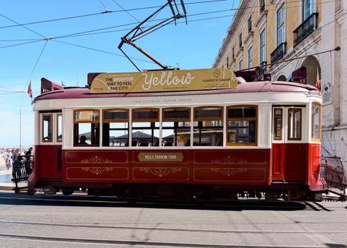 Pastel de Bacalhau and pastries tasting — Lisbon