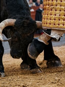 Close-up view of a bull and matador in a dramatic moment during a bullfight.