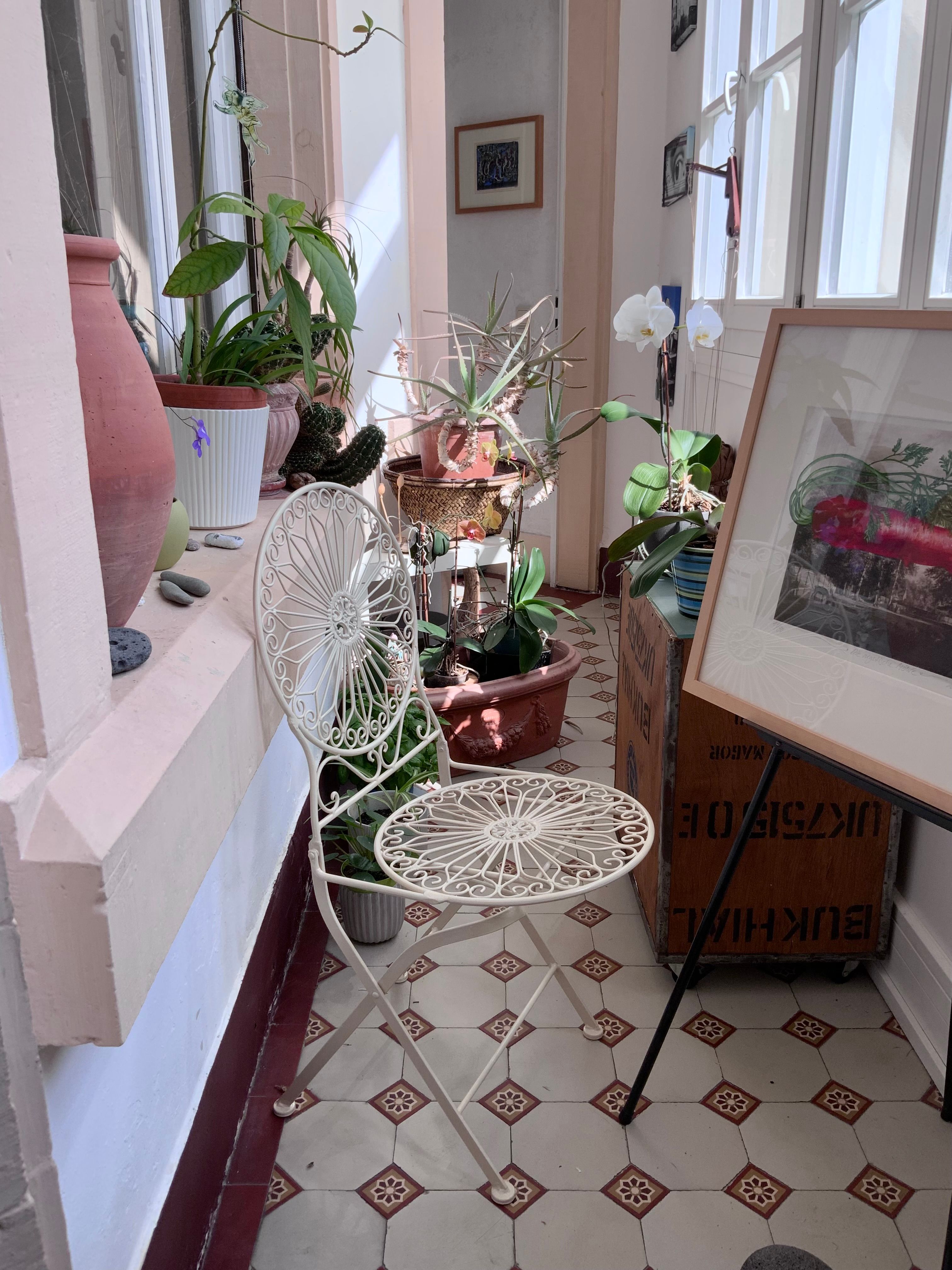 Comment choisir les meilleures plantes pour votre balcon en automne à Angers 