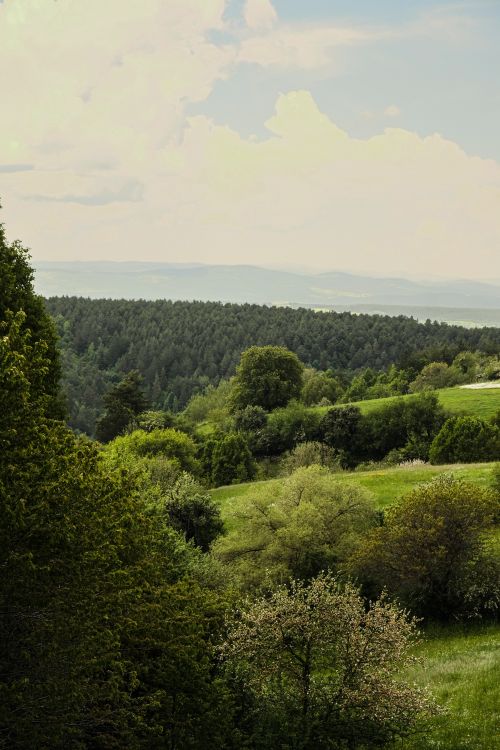 Free Scenic view of lush green hills in Kastamonu, Türkiye, under a cloudy sky. Stock Photo