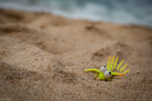 Free stock photo of sand, toy