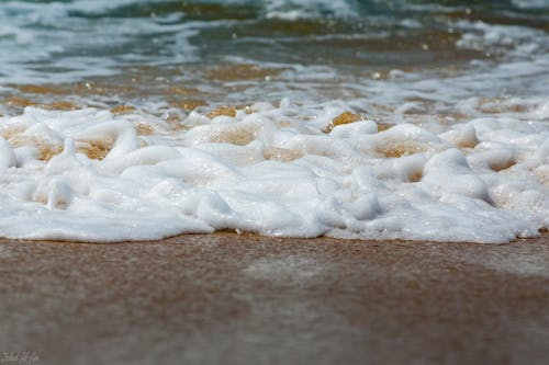 Free stock photo of beach foam