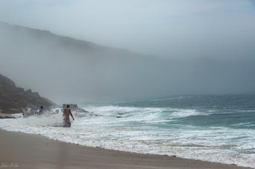 Free stock photo of fog, ocean, waves