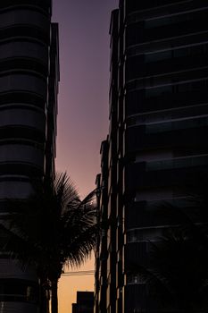 Silhouette of modern skyscrapers and palm trees at twilight with a vibrant sky.
