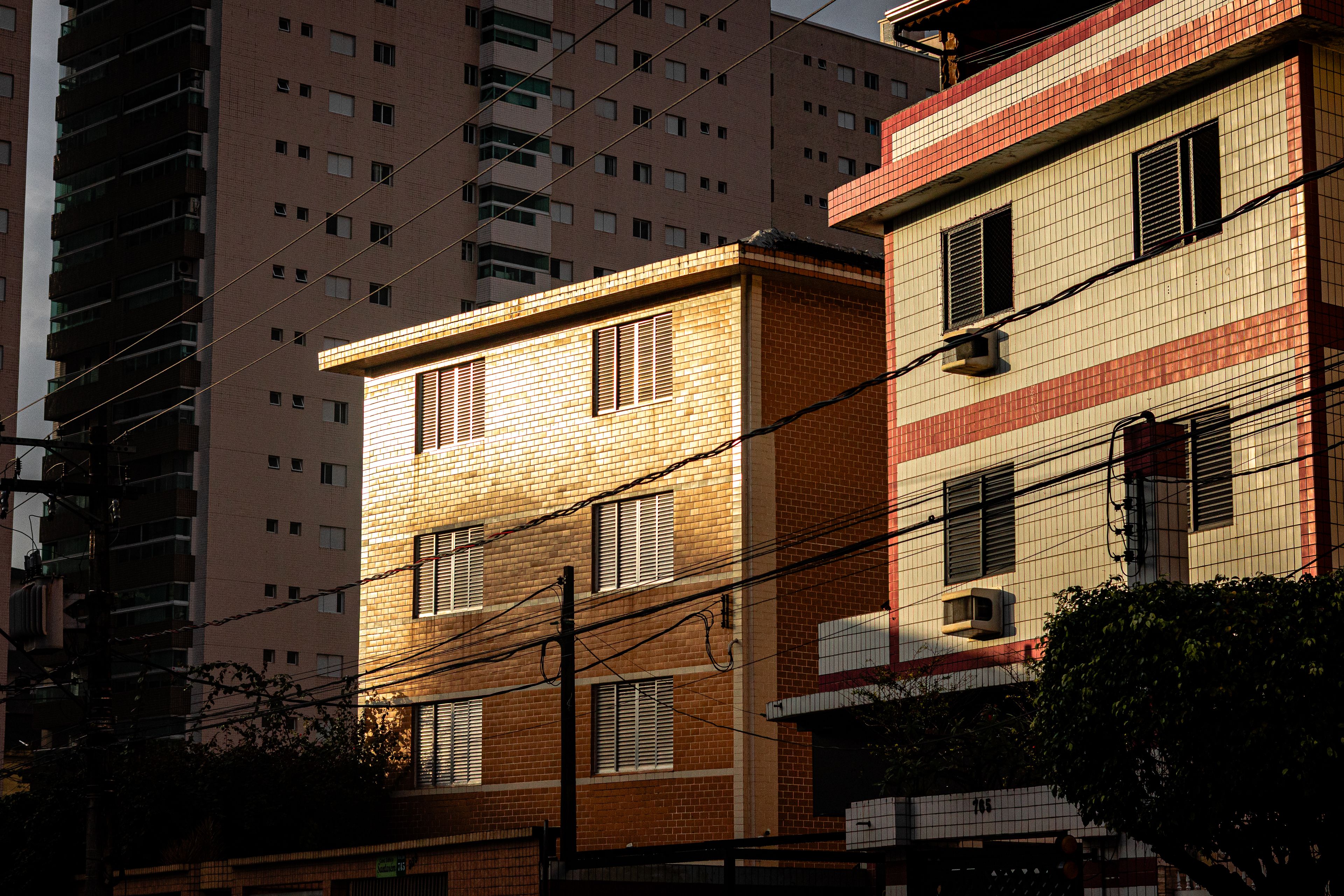 Foto: Juan Pablo Daniel / Pexels