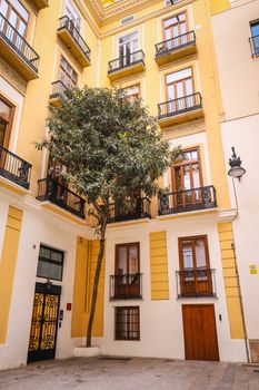 Beautiful courtyard with Mediterranean architecture and a tree in Valencia, Spain.