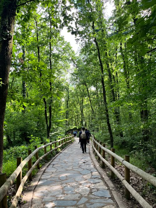 Free A serene forest pathway lined with trees, featuring hikers enjoying a summer day outdoors. Stock Photo