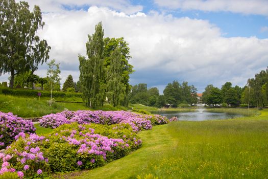 A scenic park in Jönköping, Sweden, with blooming flowers and a serene pond.