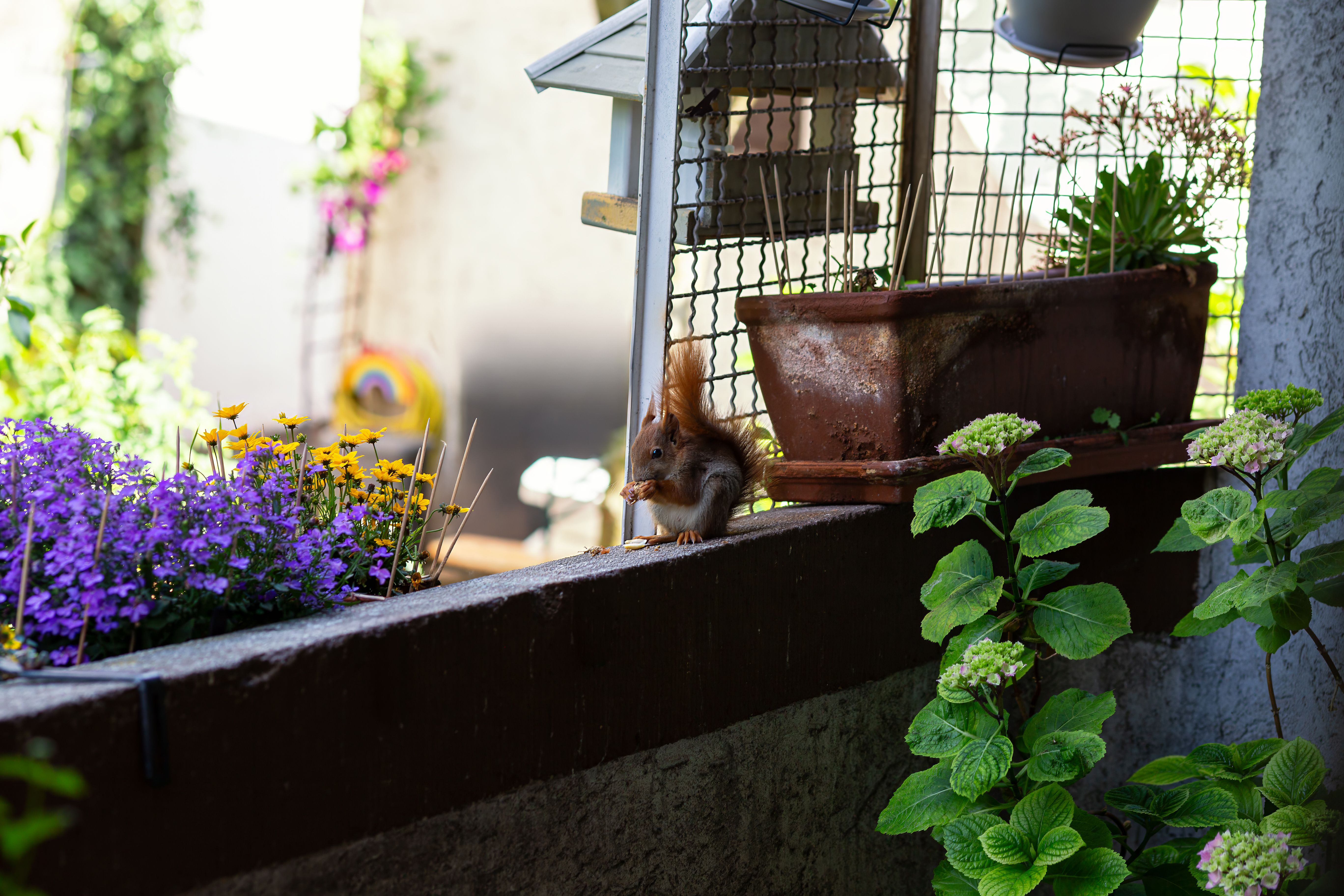 Schluss mit Garten-Langeweile: 1 kreative Tricks für deinen Sommer — Problem-Szenario
