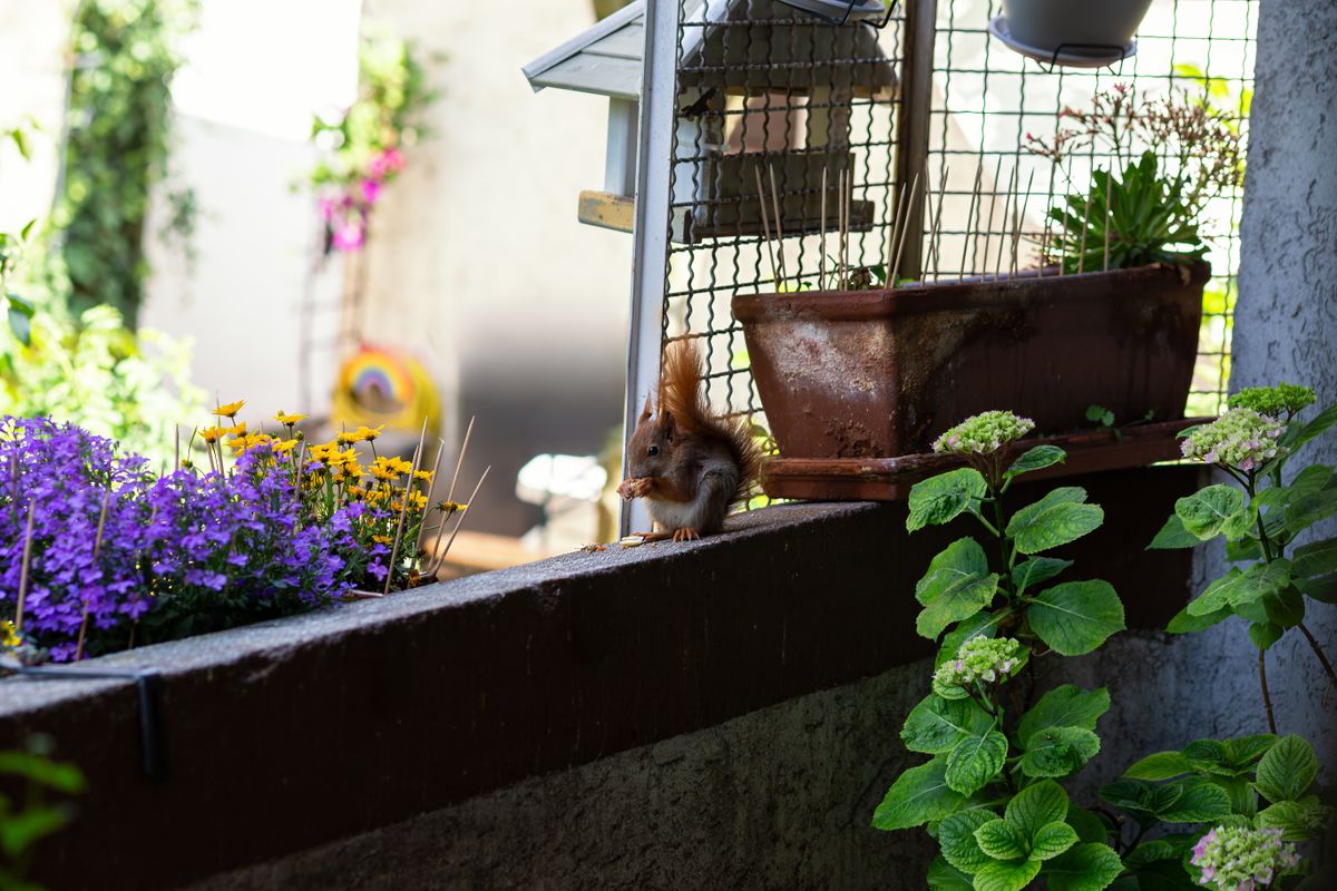Schluss mit Garten-Langeweile: 1 kreative Tricks für deinen Sommer — Problem-Szenario
