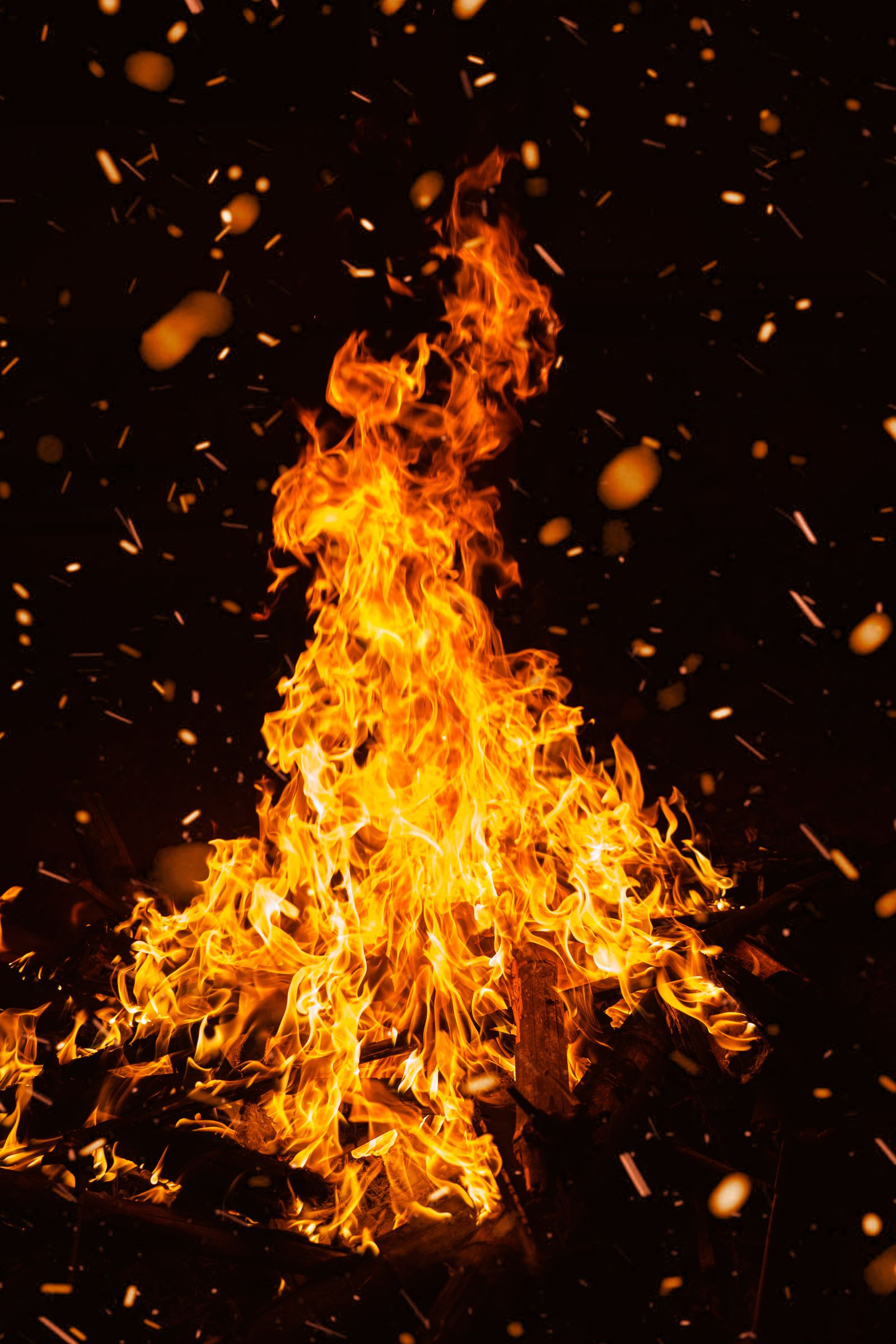 A Bonfire Flame in the Darkness of the Night · Free Stock Photo