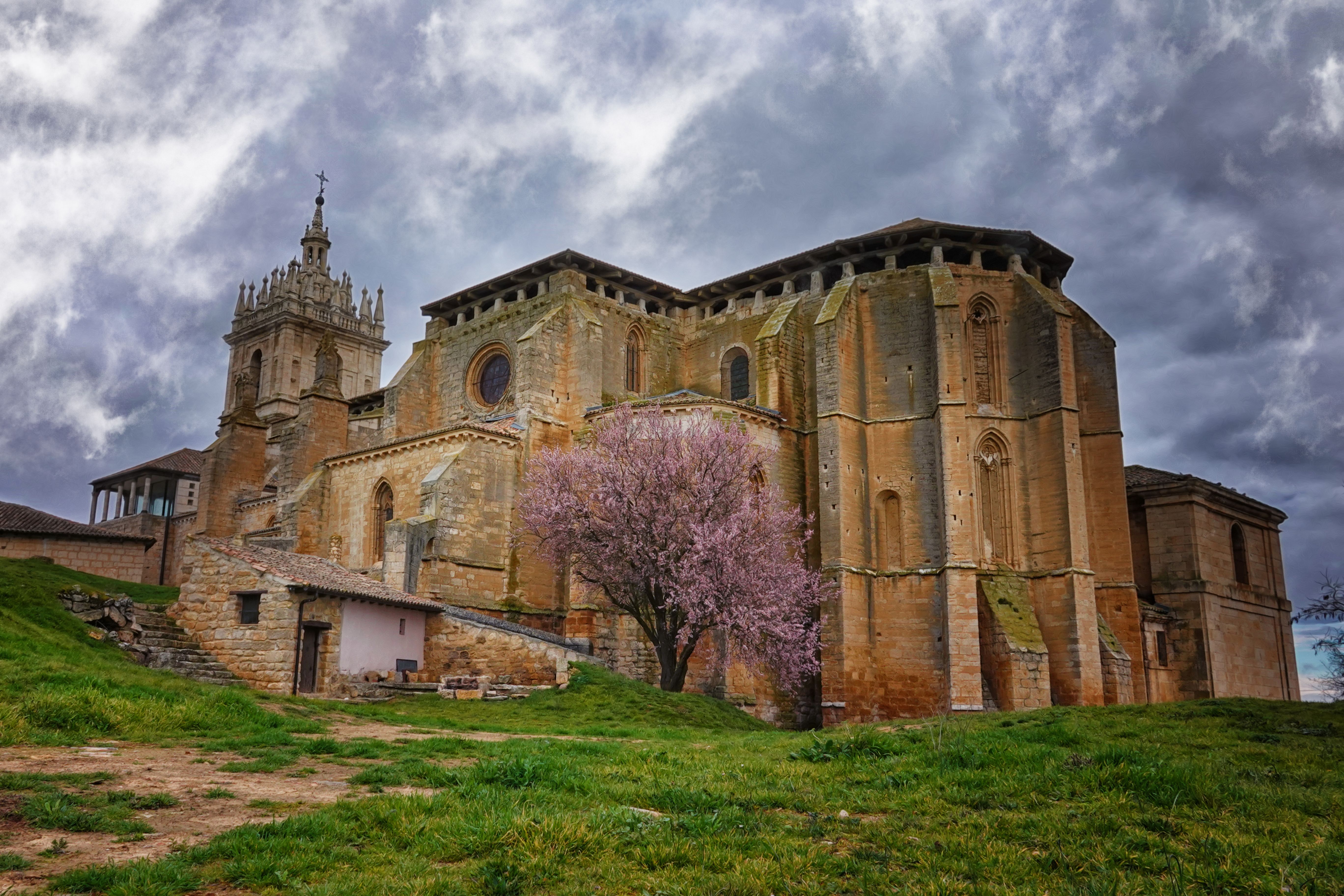 Majestic cathedral exterior with overcast sky and blooming tree, exuding timeless charm.