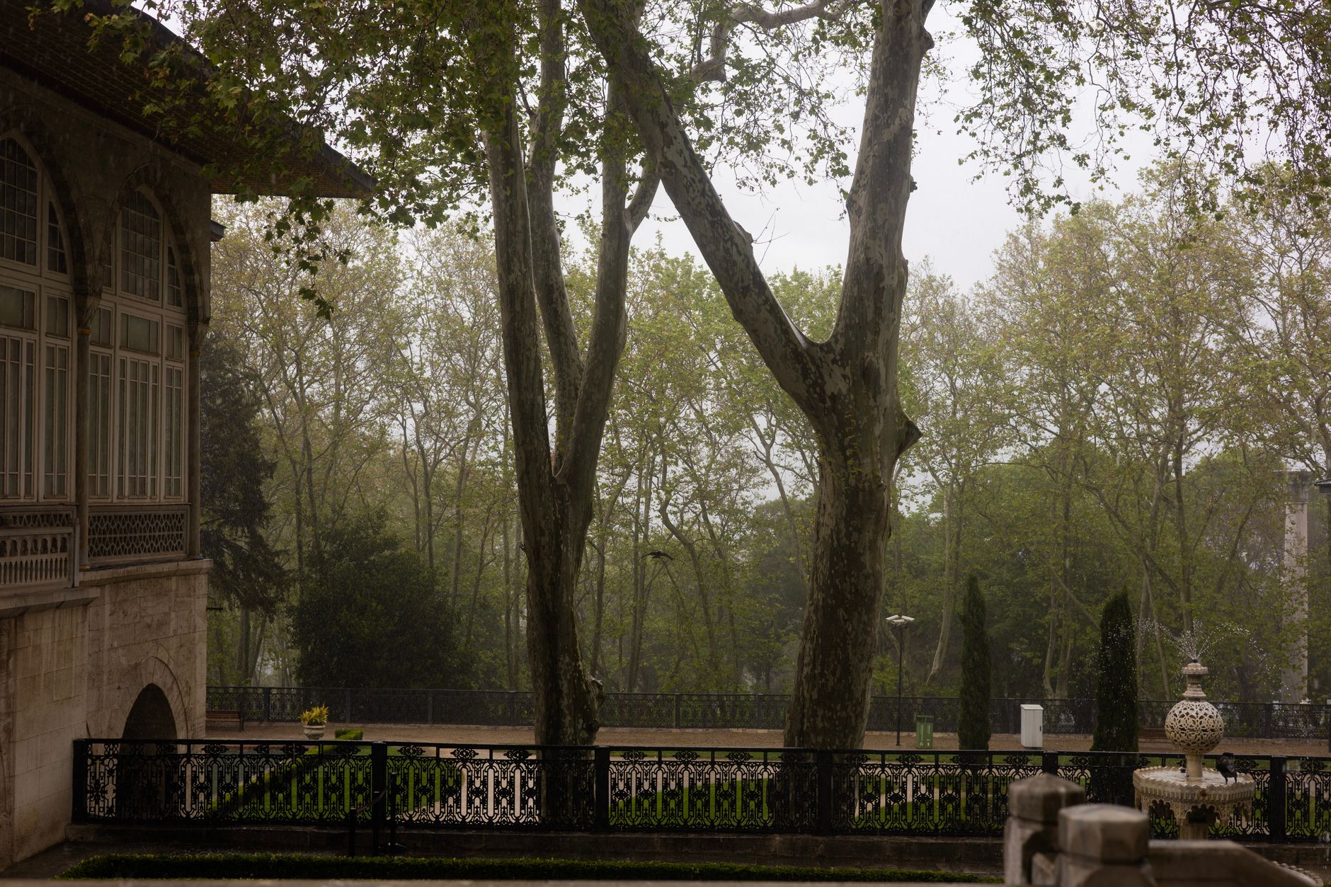 A tranquil garden view from Topkapi Palace in İstanbul during spring, showcasing lush greenery.