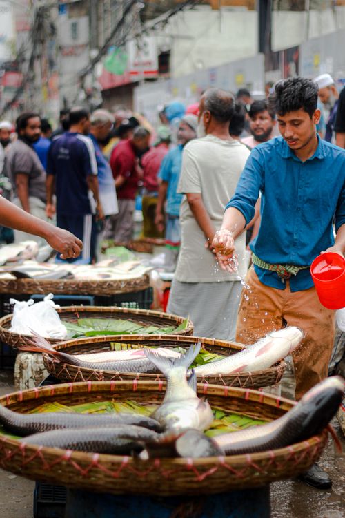 Free Explore the bustling atmosphere at Shantinagar fish market, capturing daily urban life in Dhaka. Stock Photo