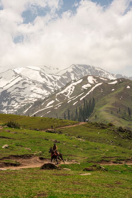 Free Breathtaking view of a horse rider traversing the lush, mountainous landscape of Pakistan with snow-capped peaks in the background. Stock Photo