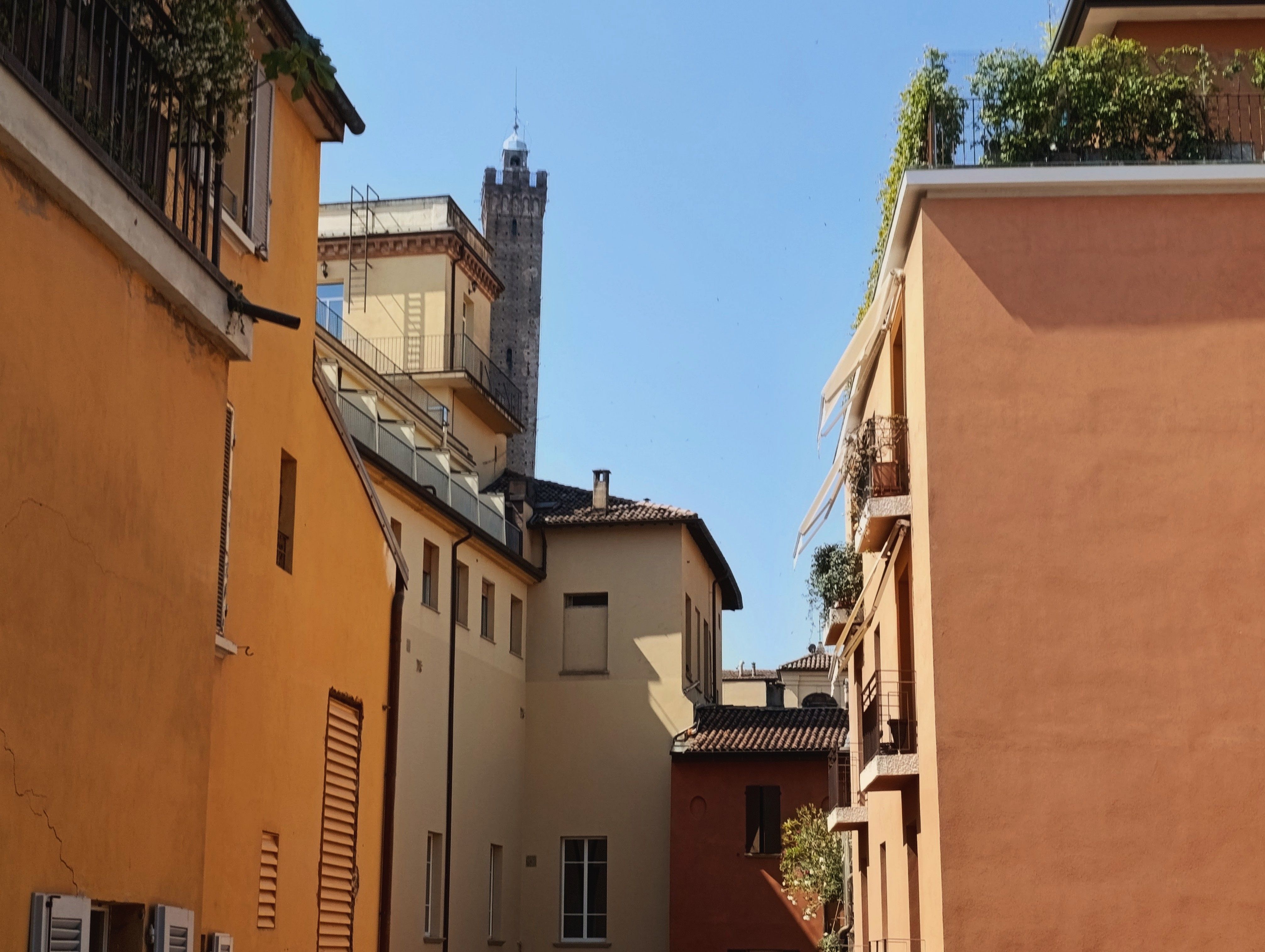 Torre degli Asinelli, Bologna