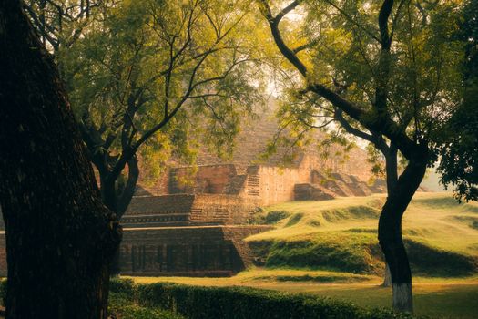 Capture of ancient brick ruins surrounded by lush green trees, basked in warm sunlight.