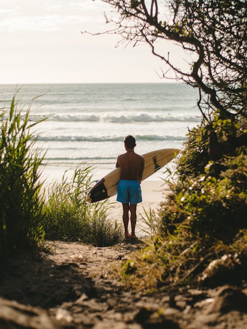 Man in Blue Shorts Holding Brown Surfboard Walking on Seashore