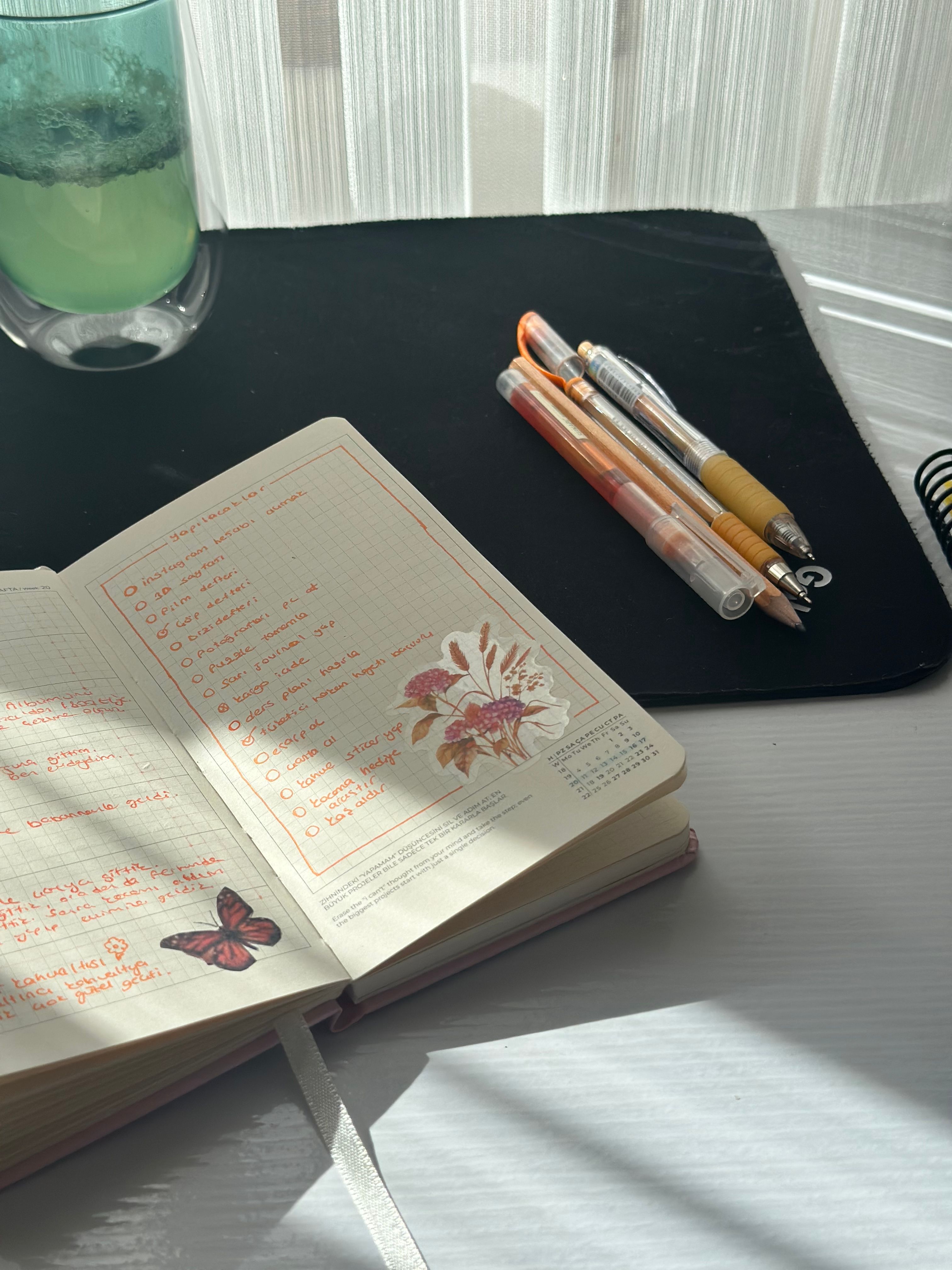 Open journal and pen on a sunlit desk, symbolizing quiet reflection