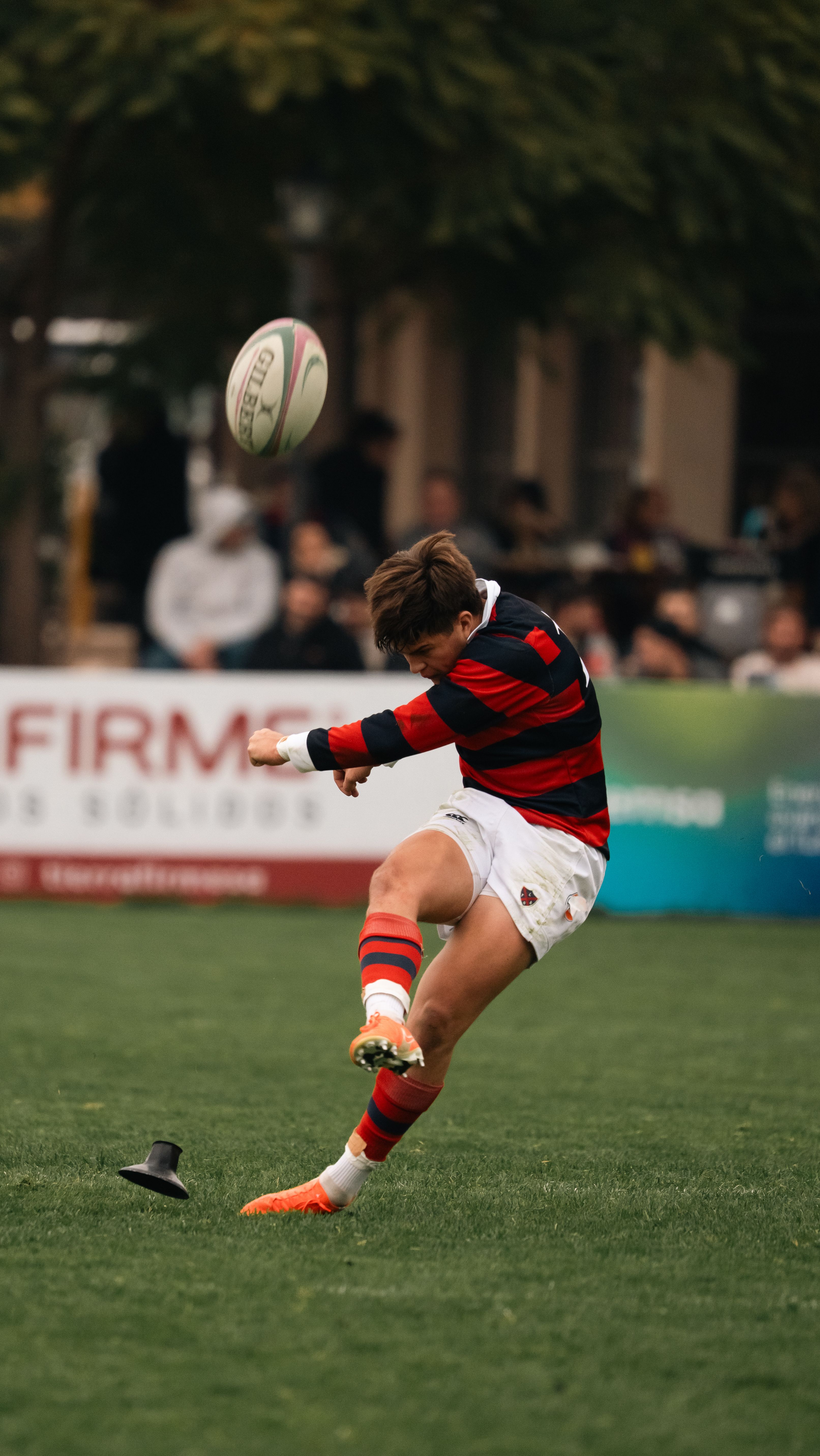 Man Holding a Rugby Ball in a Match · Free Stock Photo