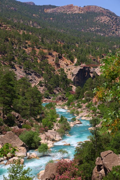 Free Vibrant mountain river weaving through lush green forest during a sunny day. Stock Photo