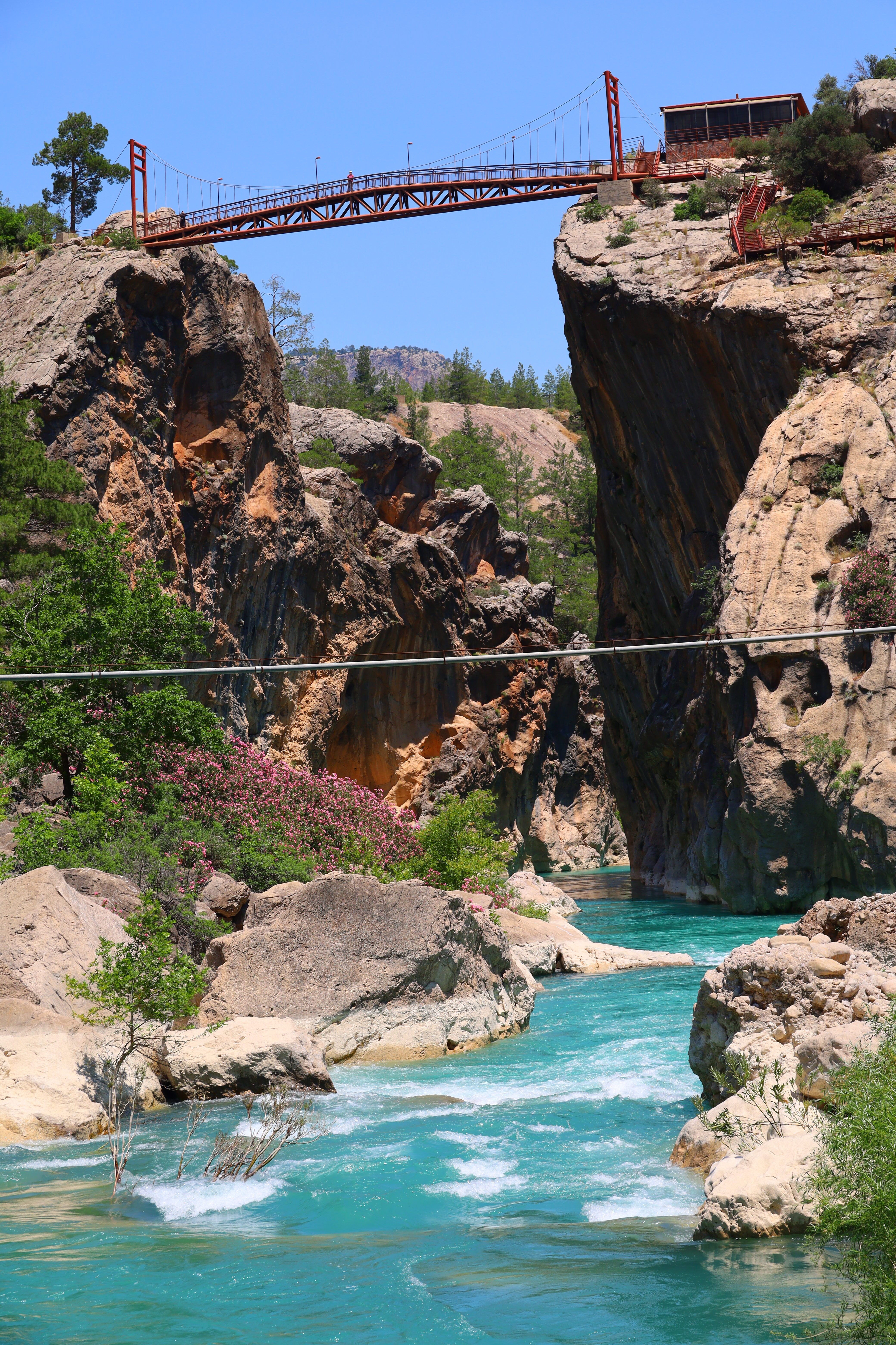 A vibrant view of a canyon with a red suspension bridge over turquoise waters during summer.