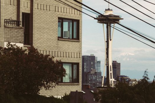 Mt Rainier day trip (summer) — Seattle