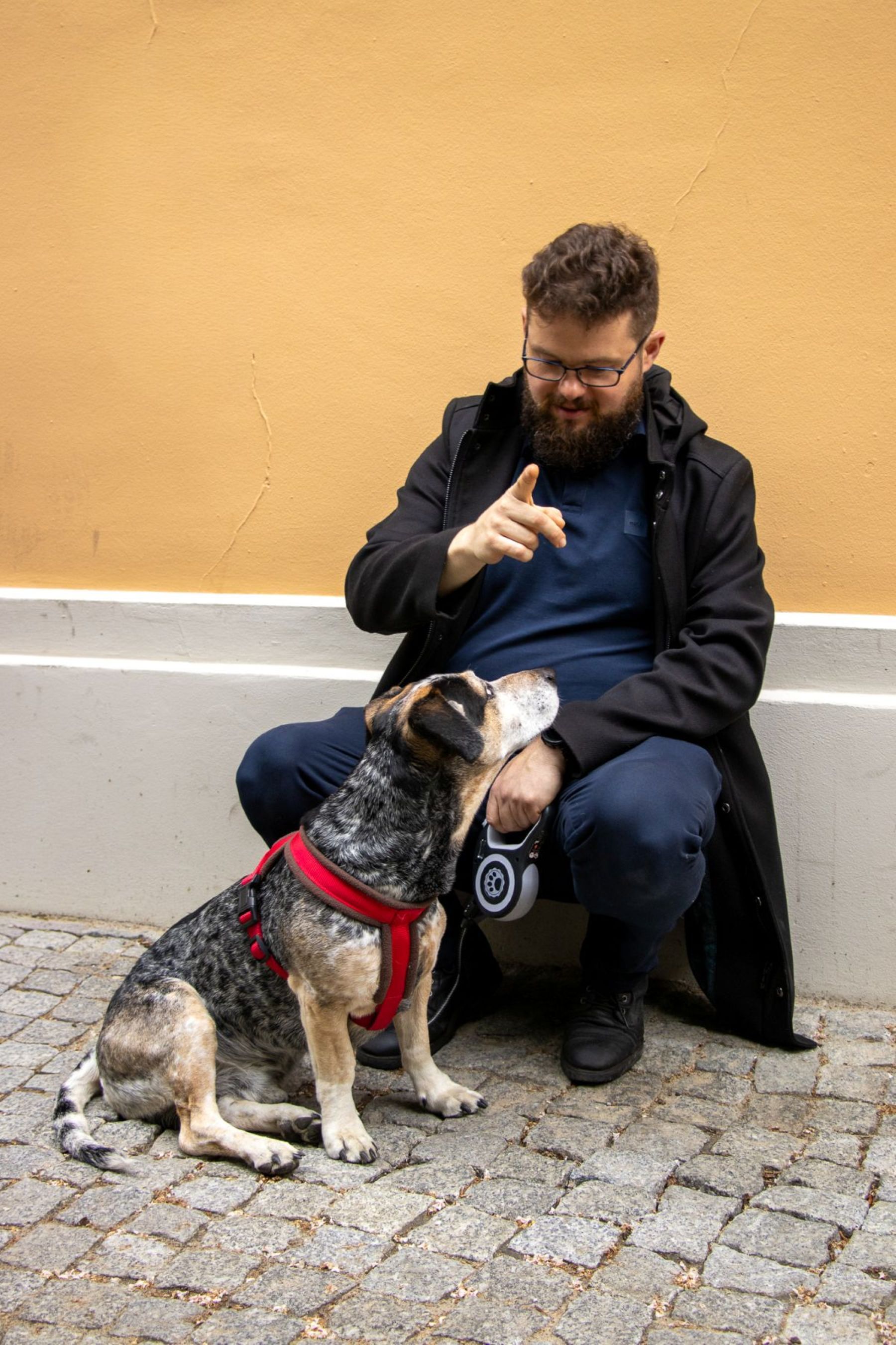 A man instructs a dog using hand signals on a cobblestone street.