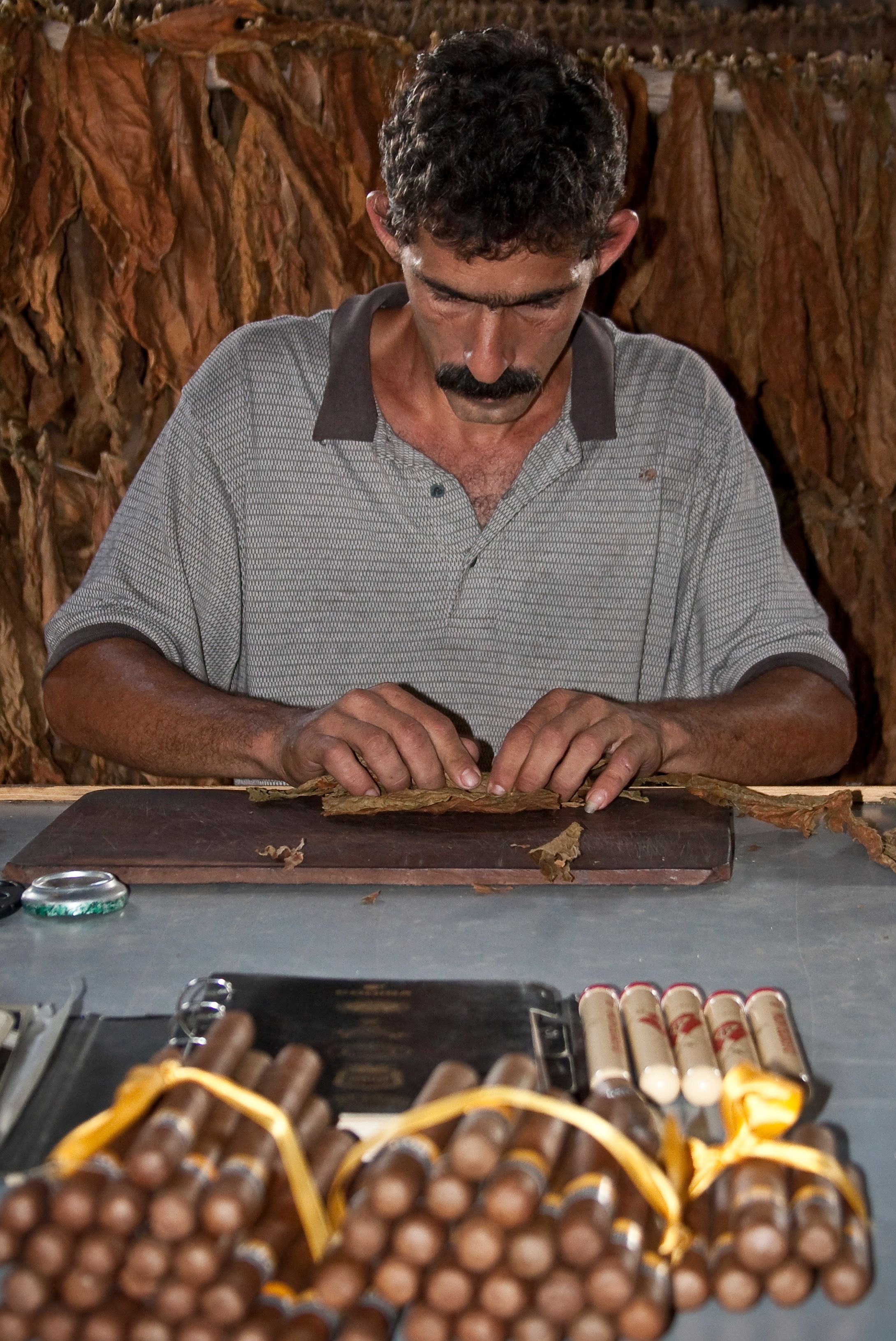 Skilled Cuban artisan rolling cigars by hand in a traditional workshop, showcasing craftsmanship.