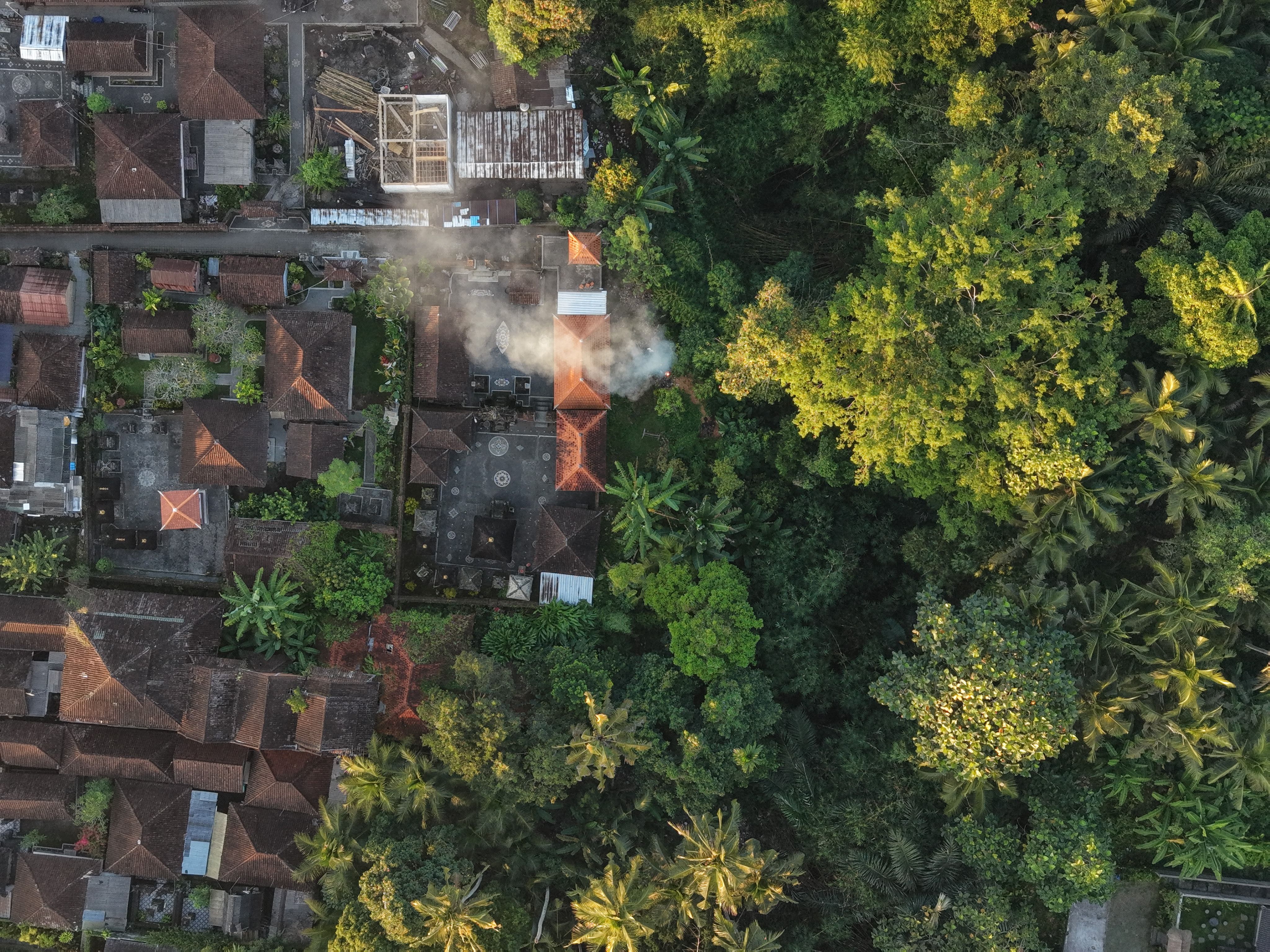 Aerial View of Village and Lush Green Forest