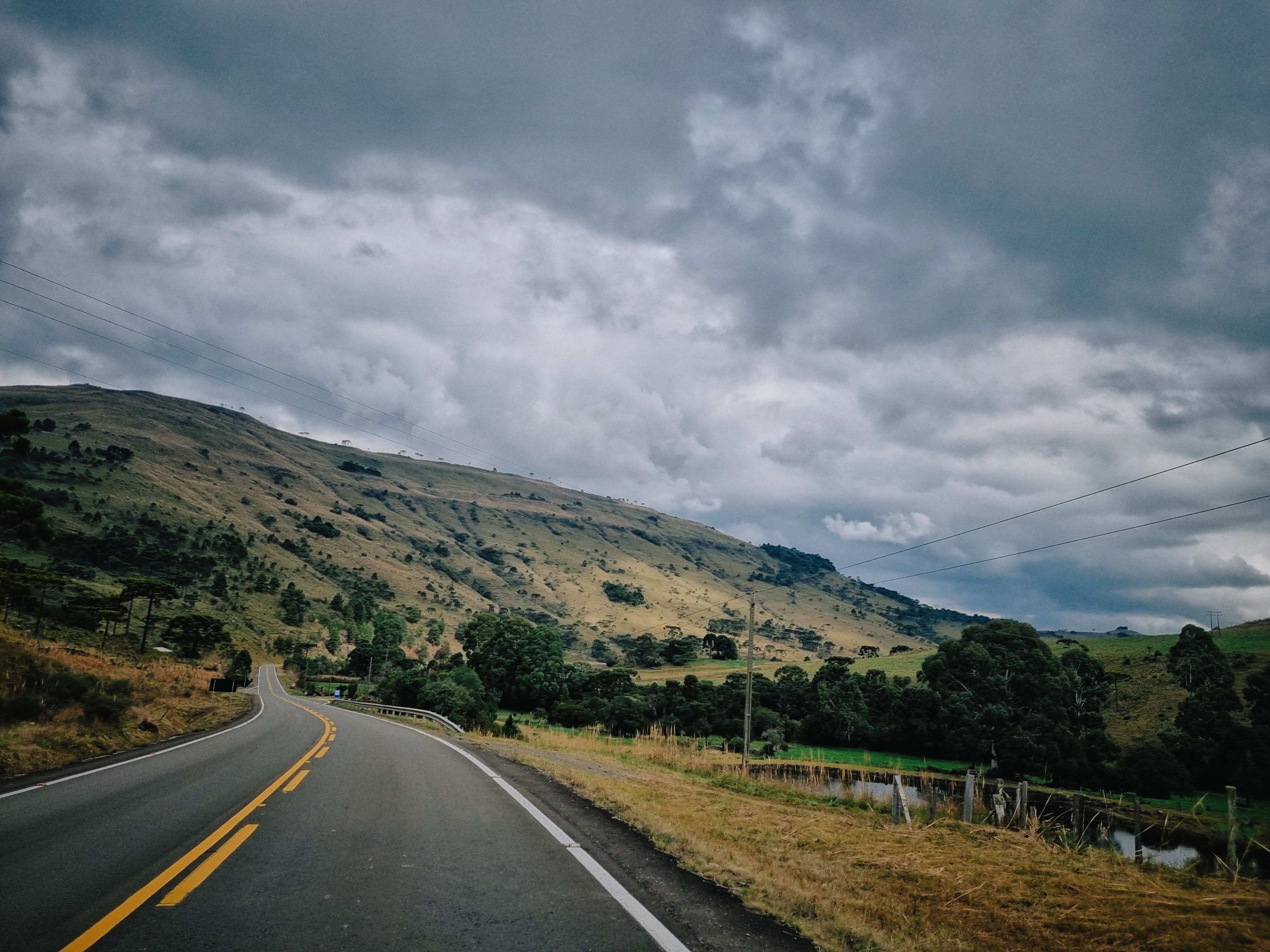 Winding mountain road climbing through pine forest in the Serra Catarinense above Urubici