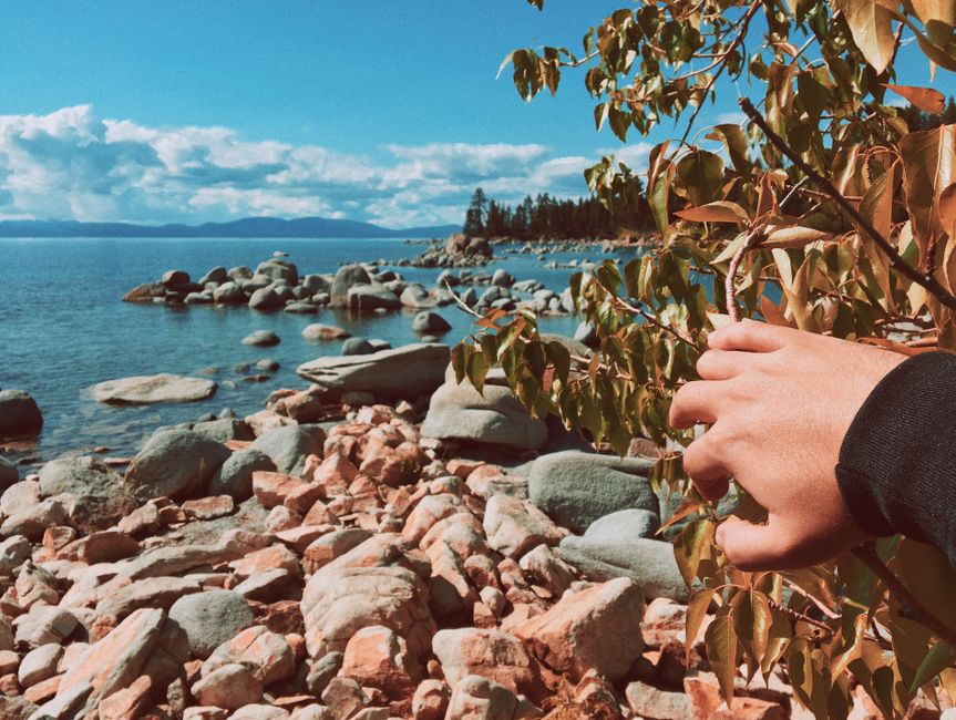 Explore the rocky shoreline of Lake Tahoe with lush foliage and a serene lake view, captured in summer.