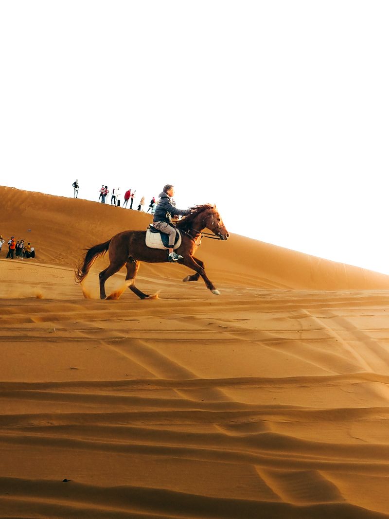 Horseback Riding in the Agafay Desert
