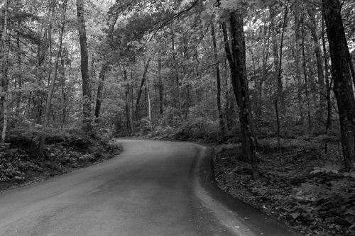 Free A winding road leads through a lush forest in Deerfield, Massachusetts. Stock Photo