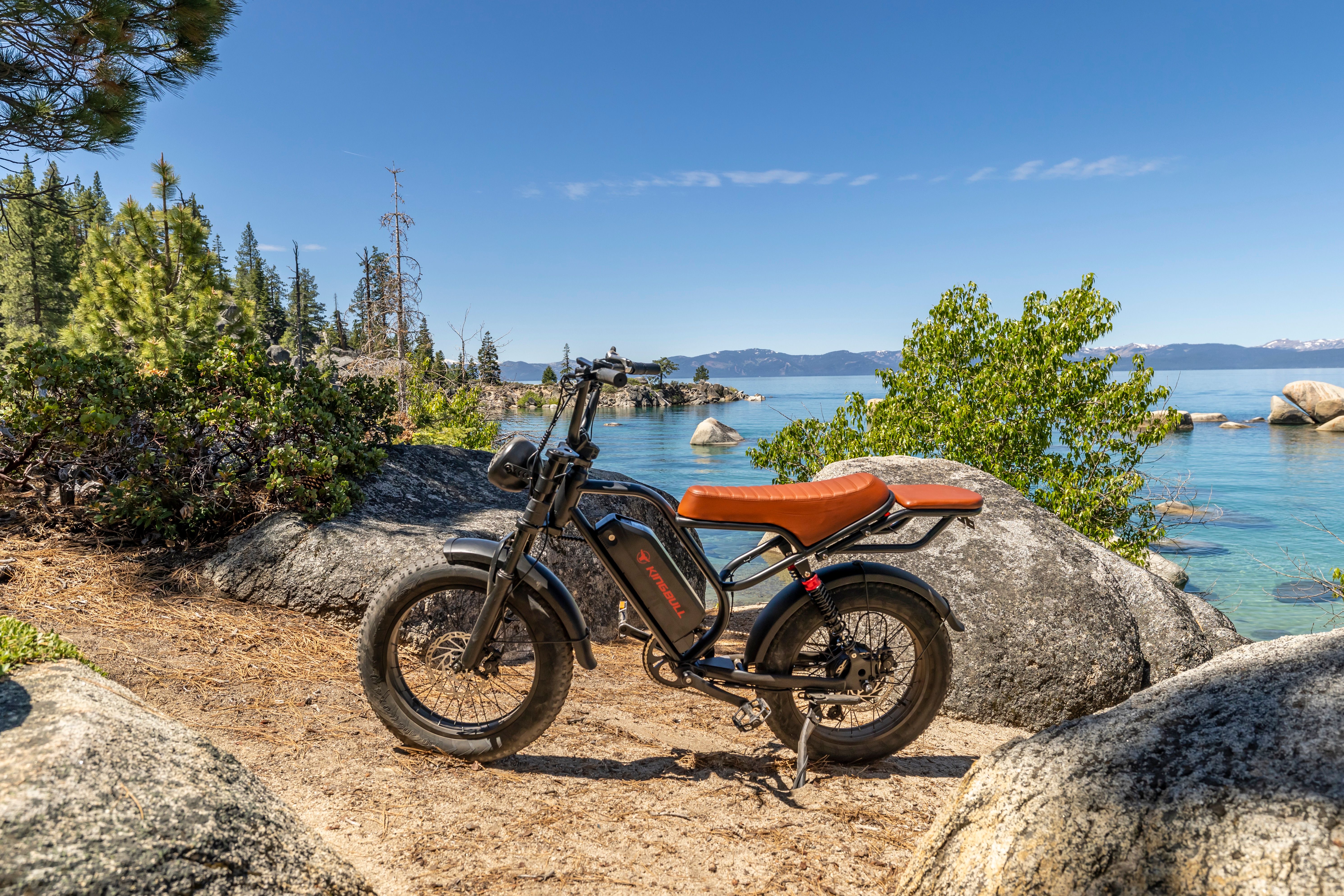 Electric bike parked on rocky shore beside a clear lake and trees.
